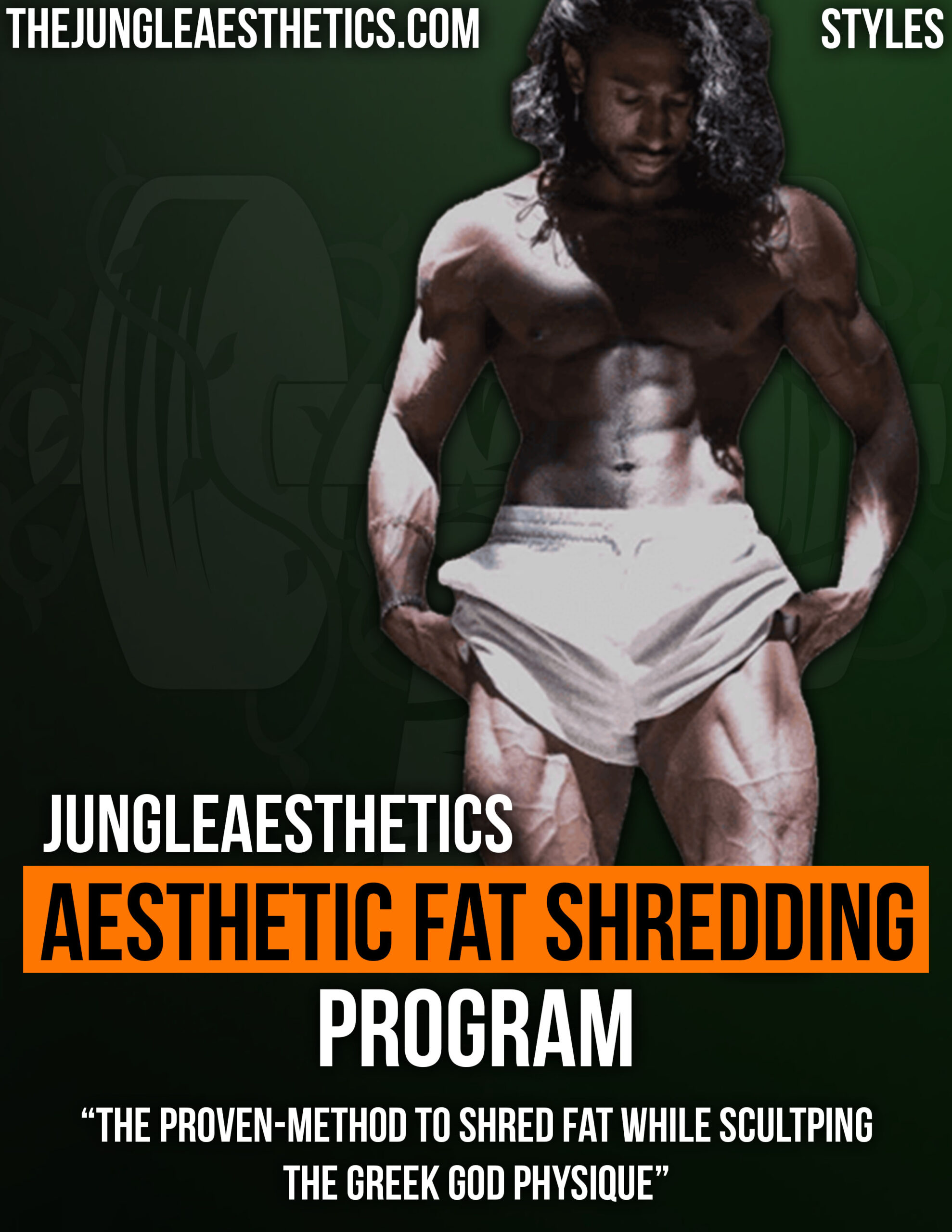 Aesthetic Fat Shredding Program<br>(if add to cart button keeps spinning, go to cart page)